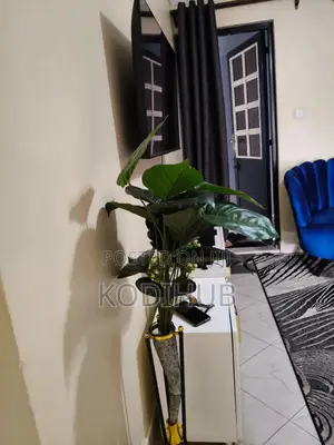 Super 1 Bedroom Airbnb Mirema