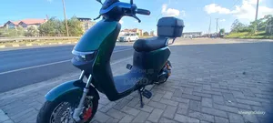 Captain CP150-10 2025 Green