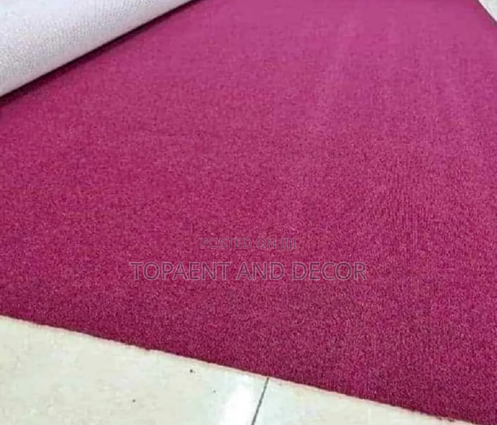 Wall to Wall Carpet Warm and Comfortable Flooring