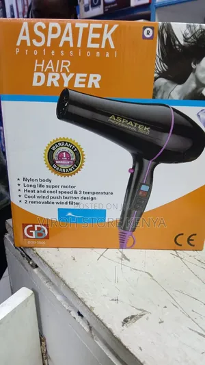 Aspatek Commercial Blow Dry Gdb5800 Blower