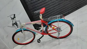 Victory Bike Size 26 Adult Bike