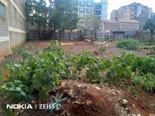 Prime 1/4 Acre Plot in Ruaka for Sale - thumbnail 3