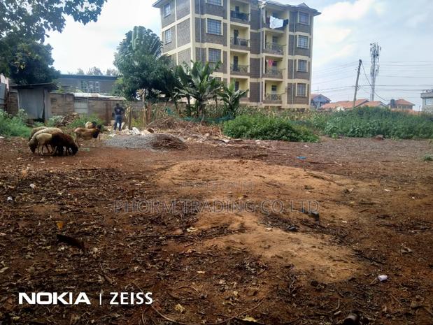 Prime 1/4 Acre Plot in Ruaka for Sale - thumbnail 4