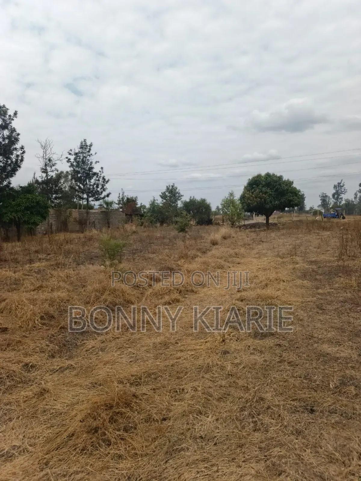 50*100 Ready Title Deed Two Plots 3.7m Each Cal