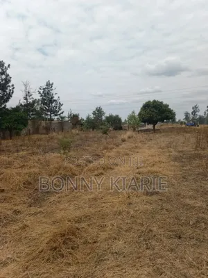 50*100 Ready Title Deed Two Plots 3.7m Each Cal