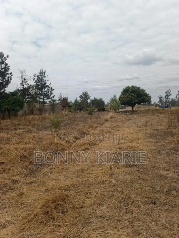 50*100 Ready Title Deed Two Plots 3.7m Each Cal - thumbnail 3