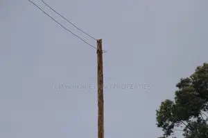 Hot Deal Yo Get a 50x100 Plot in Kikuyu Prime Estate