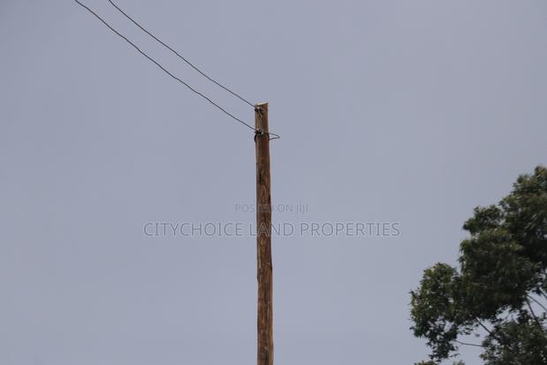 Hot Deal Yo Get a 50x100 Plot in Kikuyu Prime Estate