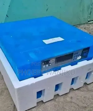 64eggs Capacity Dc Automatic Incubator