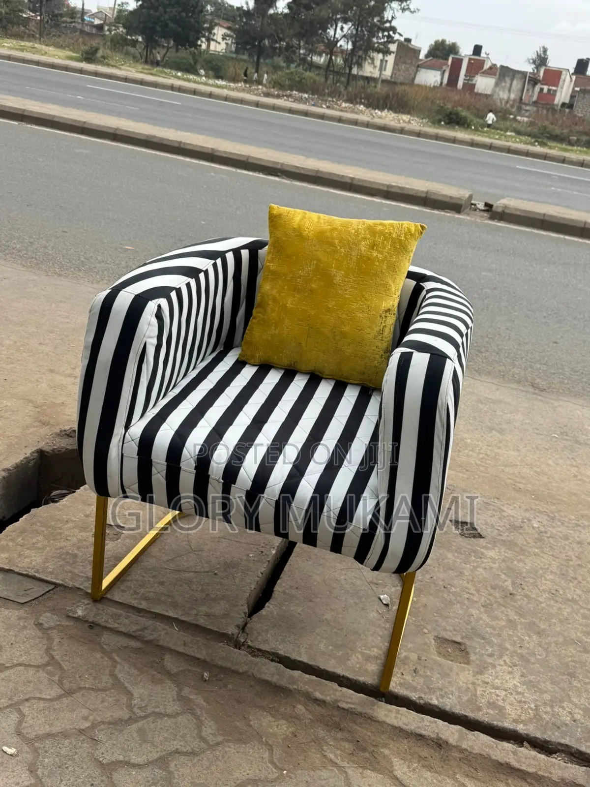 Zebra Printed Styling