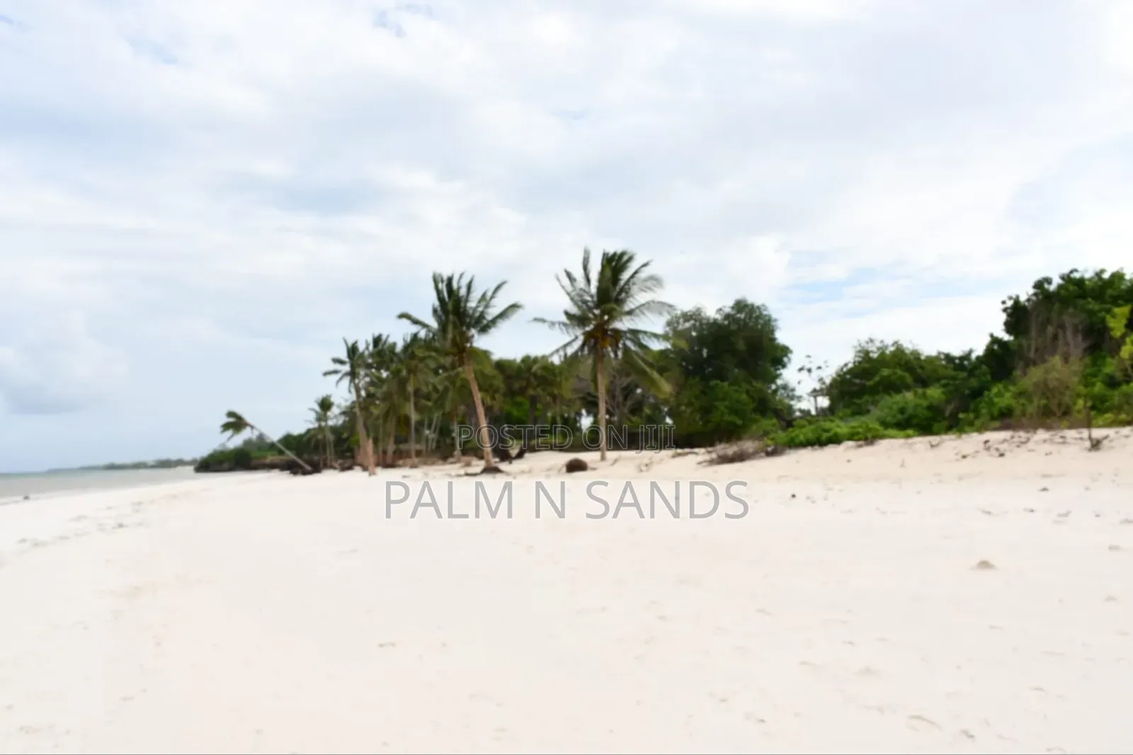Two Prime Quarter Acre Plots Available in Galu!