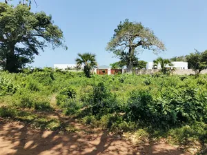Two Prime Quarter Acre Plots Available in Galu!