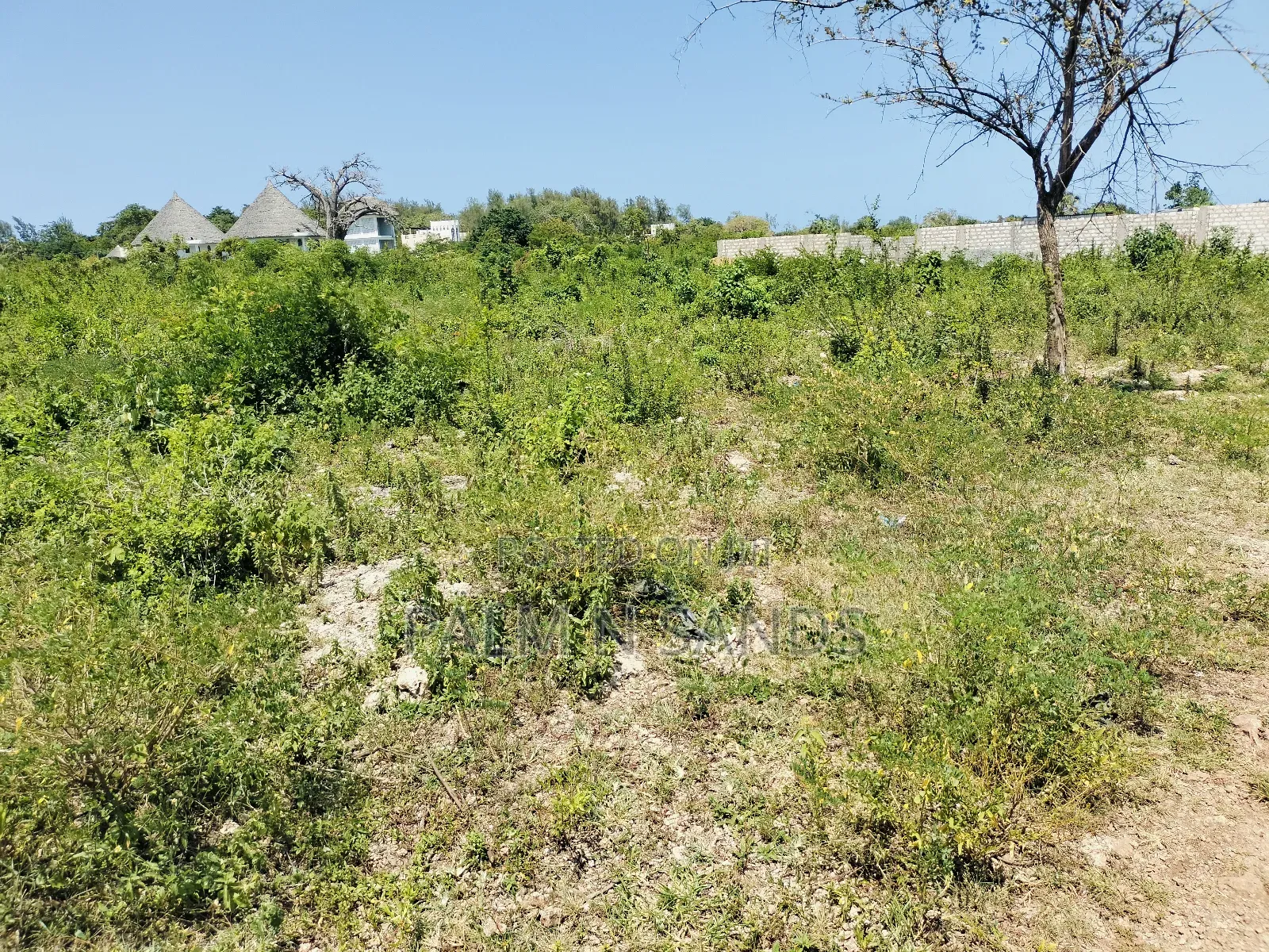 Two Prime Quarter Acre Plots Available in Galu!