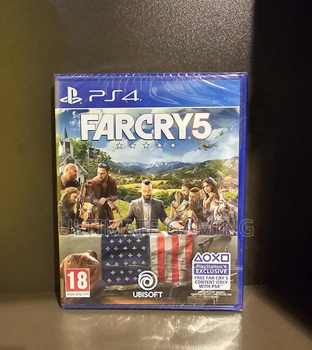 Ps4 Farcry 5 - main view