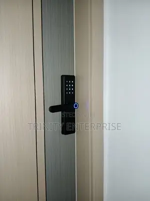 Intelligent Door Lock Tuya Wifi Remote Unlock Fingerprint