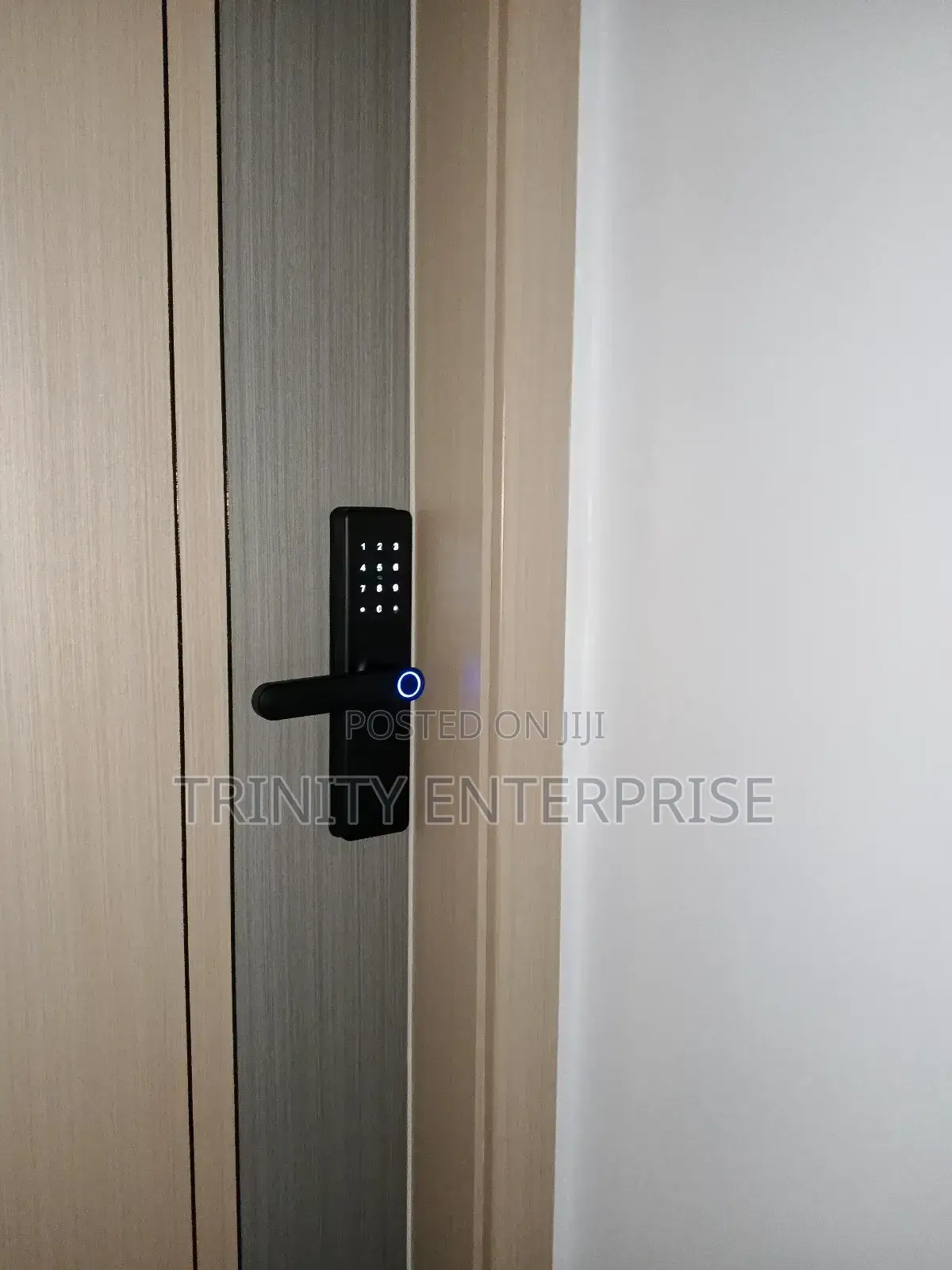 Intelligent Door Lock Tuya Wifi Remote Unlock Fingerprint