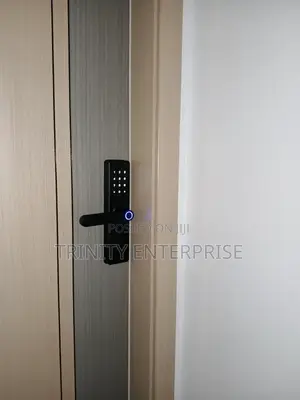 Intelligent Door Lock Tuya Wifi Remote Unlock Fingerprint