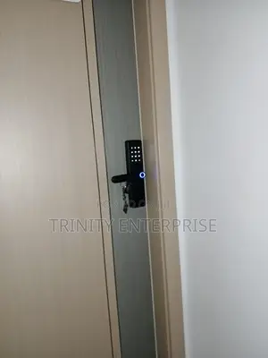 Intelligent Door Lock Tuya Wifi Remote Unlock Fingerprint