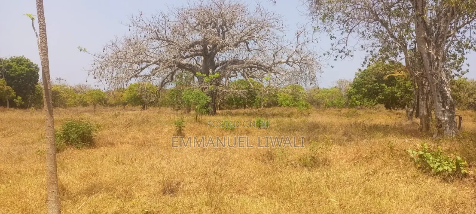 3 Acre Plot for Sale in Tiwi, Kwale
