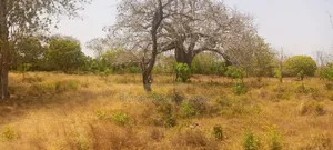 3 Acre Plot for Sale in Tiwi, Kwale