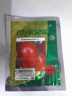 Tomato Terminator F1 Seeds 5grams - thumbnail 2