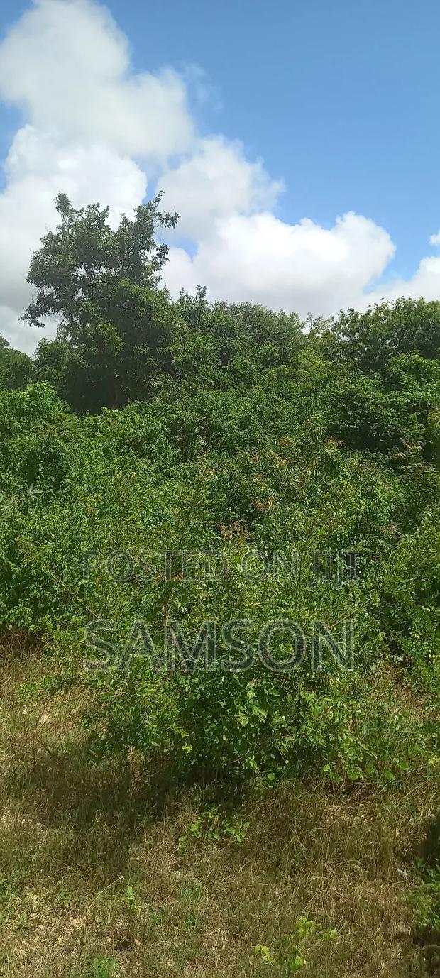 10 Acre's for Sale Located at Kilifi, Vipingo Kuruwitu - main view