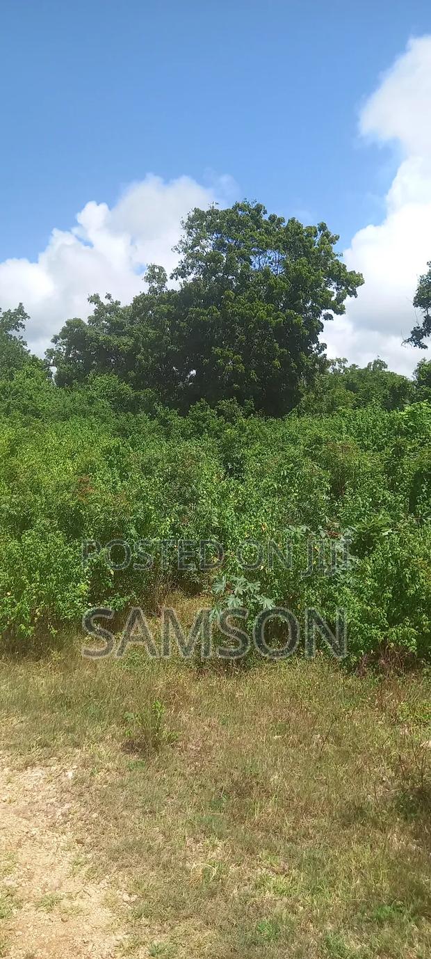 10 Acre's for Sale Located at Kilifi, Vipingo Kuruwitu - thumbnail 2
