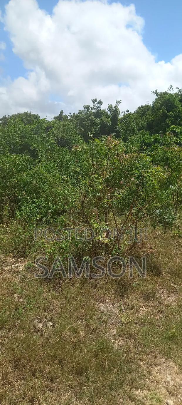 10 Acre's for Sale Located at Kilifi, Vipingo Kuruwitu - thumbnail 3