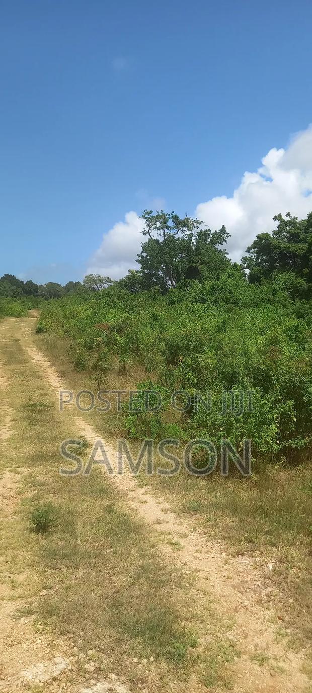 10 Acre's for Sale Located at Kilifi, Vipingo Kuruwitu - thumbnail 4