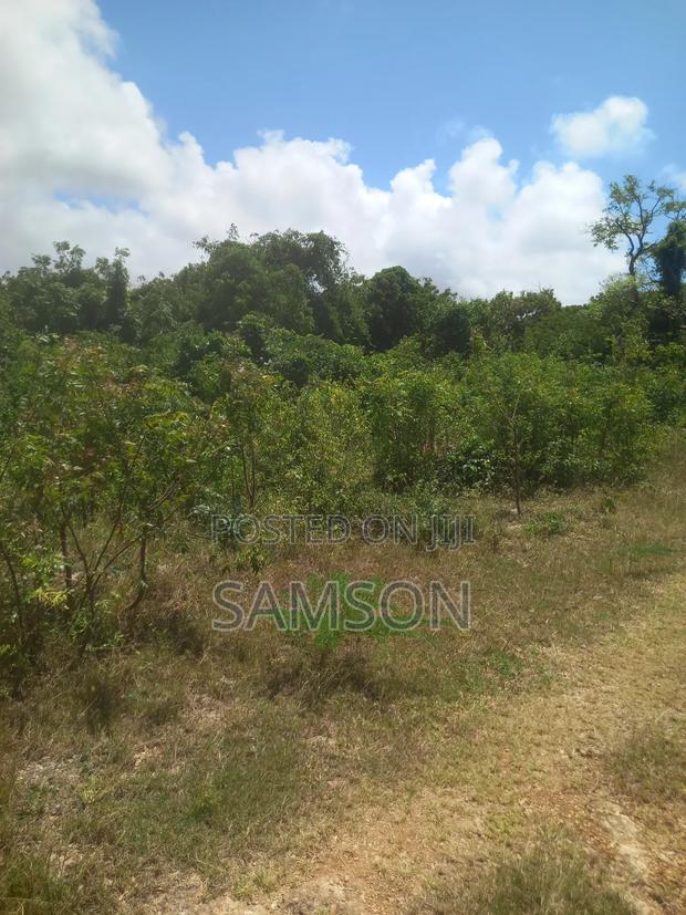 10 Acre's for Sale Located at Kilifi, Vipingo Kuruwitu - thumbnail 5
