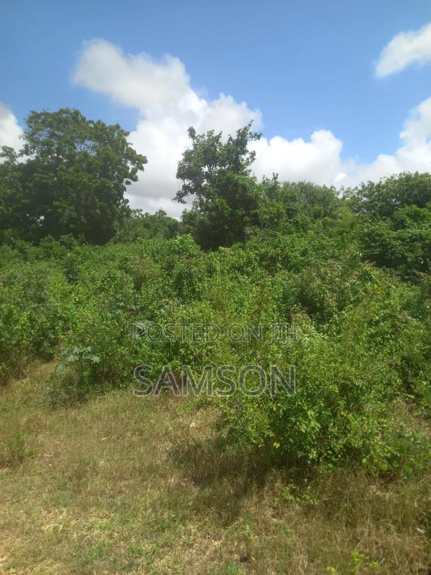 10 Acre's for Sale Located at Kilifi, Vipingo Kuruwitu - thumbnail 6