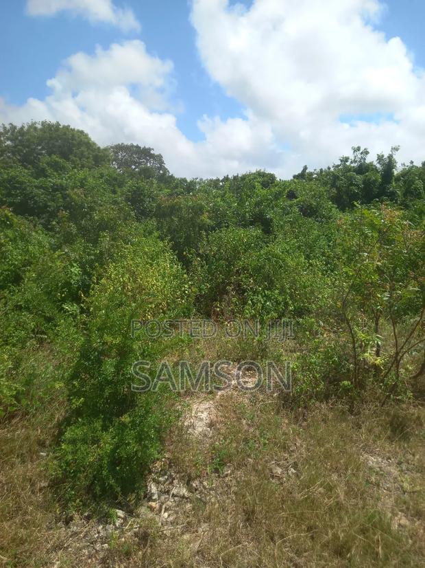 10 Acre's for Sale Located at Kilifi, Vipingo Kuruwitu - thumbnail 7