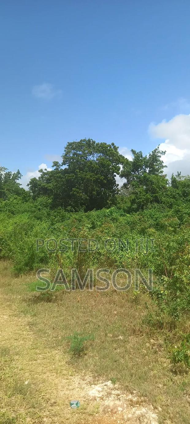 10 Acre's for Sale Located at Kilifi, Vipingo Kuruwitu - thumbnail 8