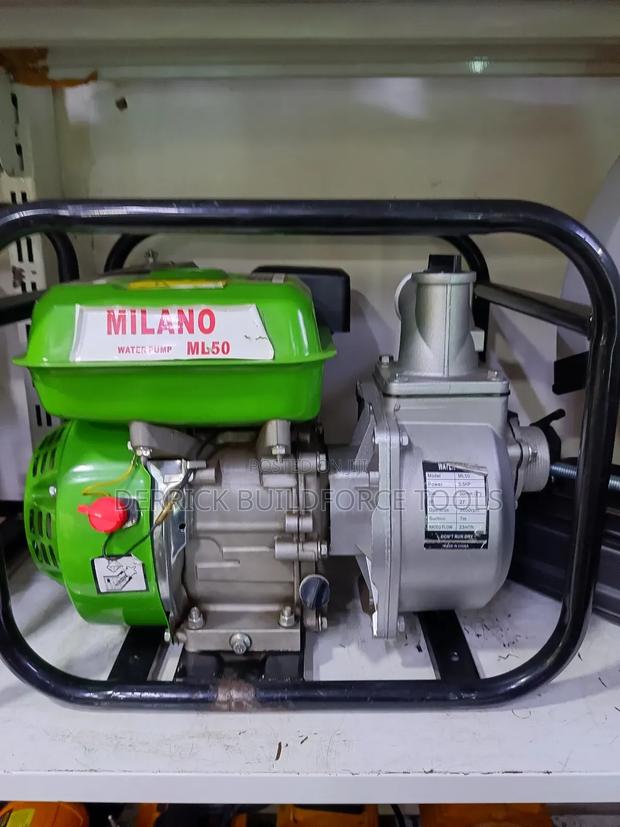 Milano 2" Water Pump