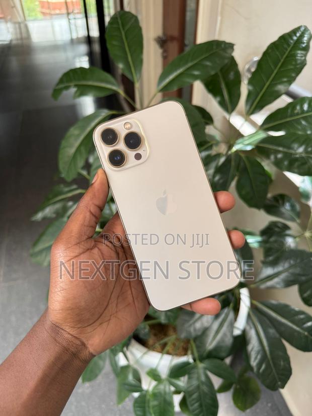 Apple iPhone 13 Pro Max 256 GB Gold - thumbnail 2