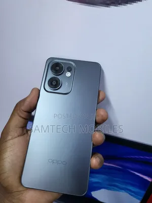 Oppo Reno13 F 256 GB Gray
