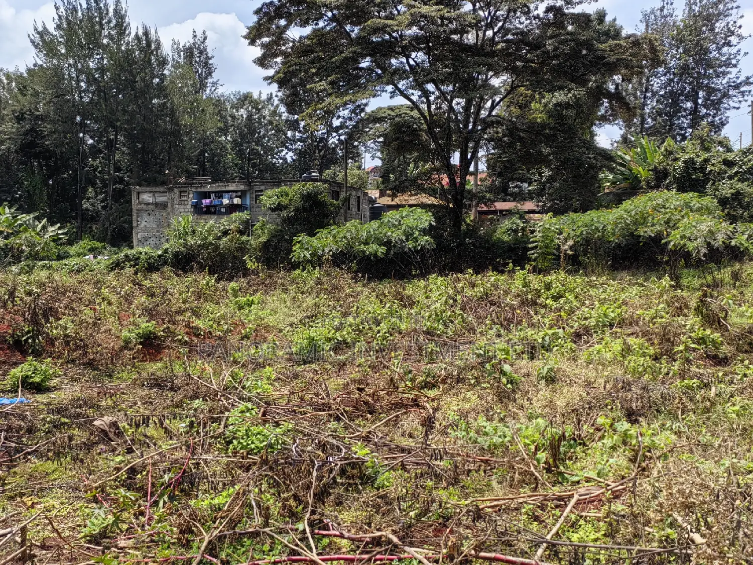100x100 Plot in Muthiga Kikuyu Kiambu