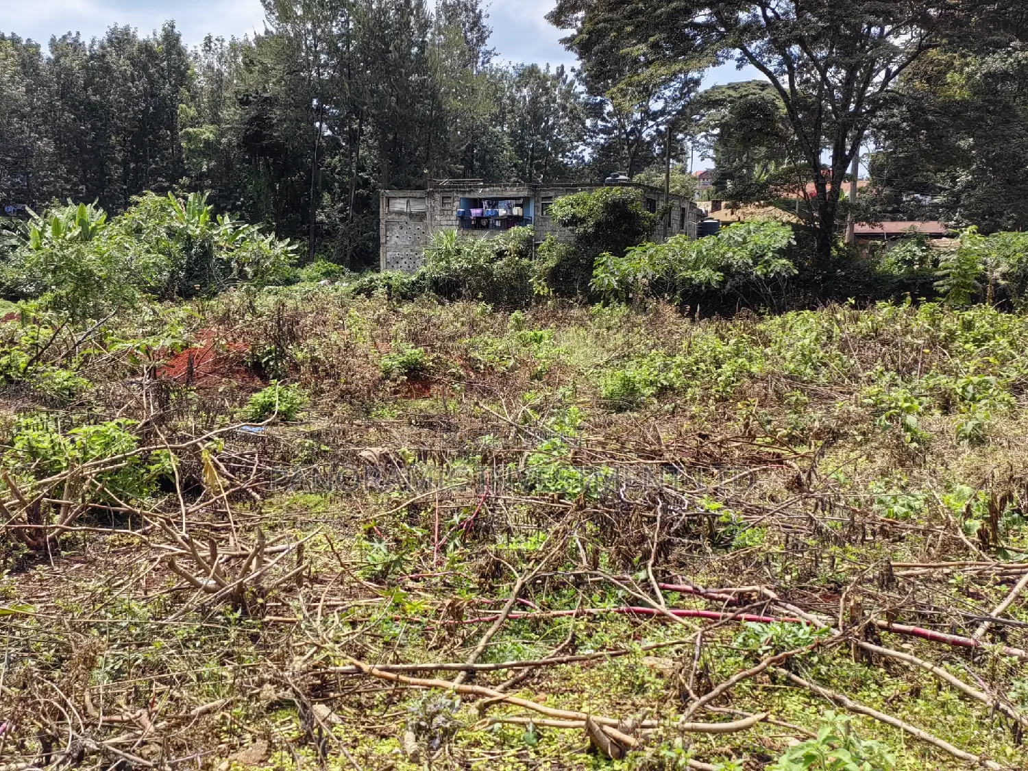 100x100 Plot in Muthiga Kikuyu Kiambu