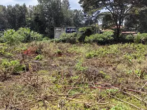 100x100 Plot in Muthiga Kikuyu Kiambu