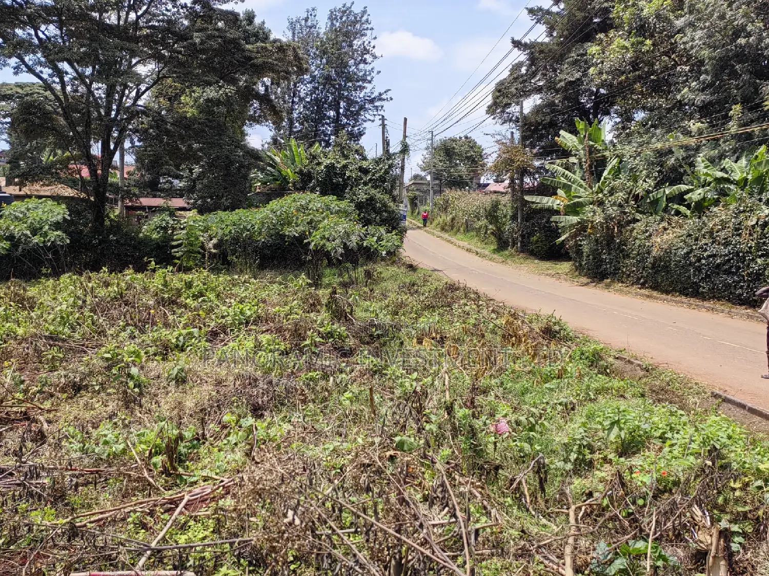 100x100 Plot in Muthiga Kikuyu Kiambu