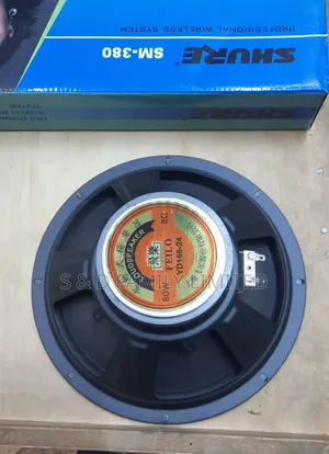 10 Inch Naked Speaker Feilo