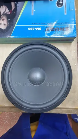 10 Inch Naked Speaker Feilo