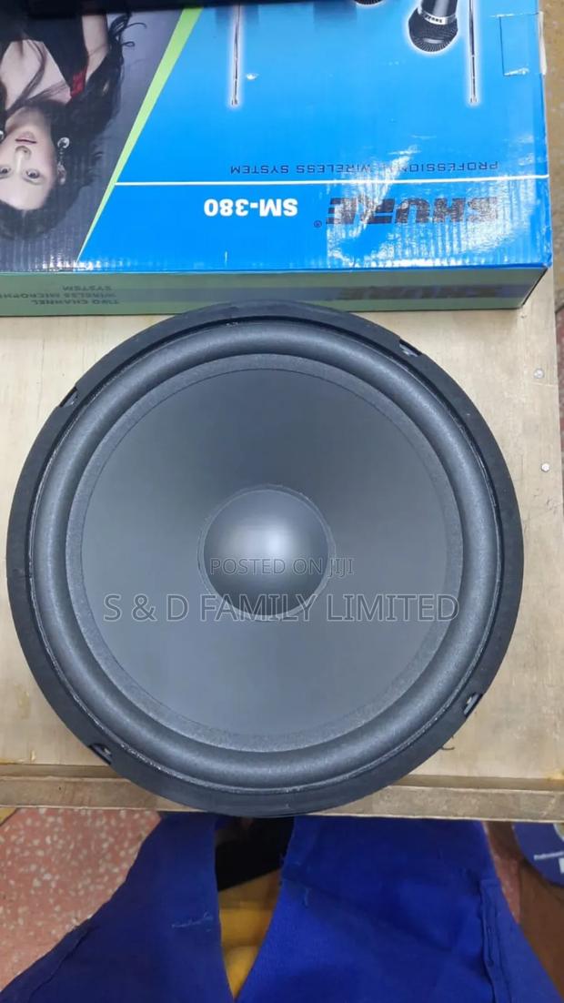 10 Inch Naked Speaker Feilo - thumbnail 2