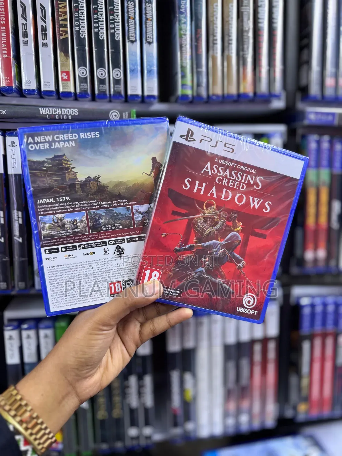 Assassin's Creed Shadows 2025