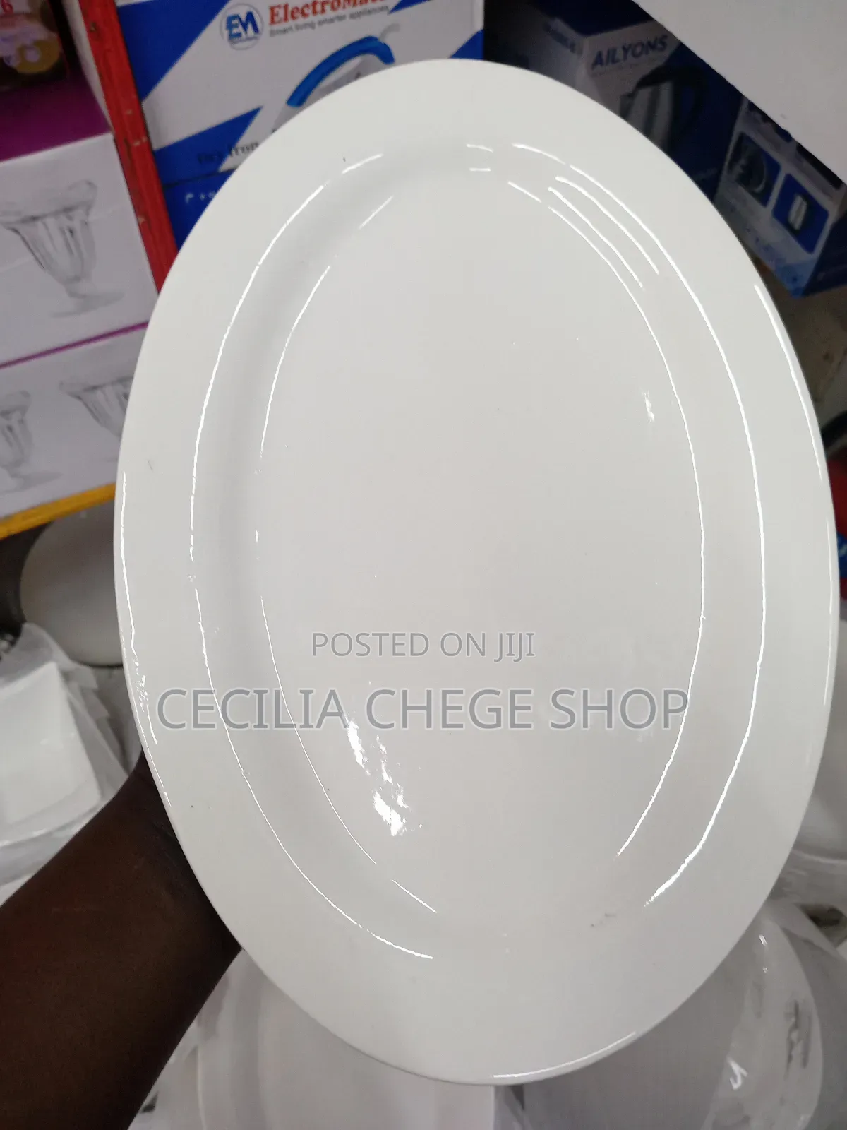 Oval Ceramic Plate