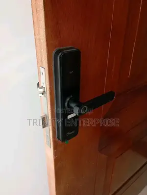 Tuya Wifi Smart Door Locks