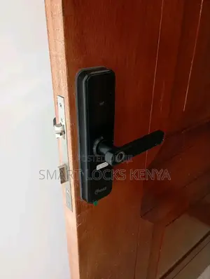 Tuya Wifi Smart Door Locks