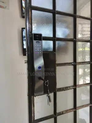 Smart Door Smart Locks