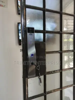 Smart Door Smart Locks