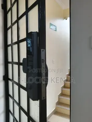 Smart Door Smart Locks